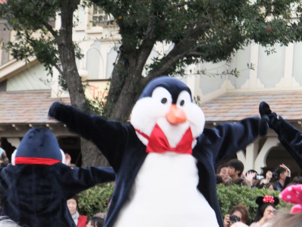 4068