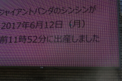 11841106